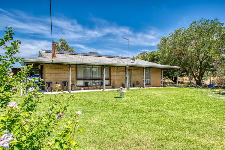 Fourth view of Homely house listing, 41 Vine Drive, Jindera NSW 2642