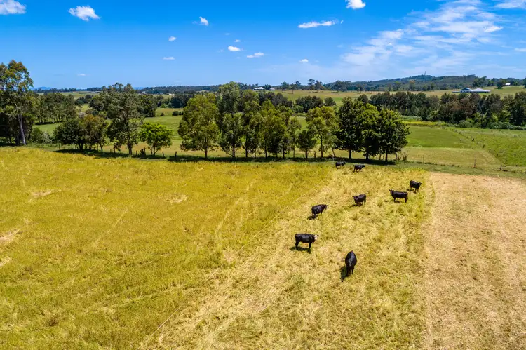 Fifth view of Homely rural property listing, 987 Maitland Vale Road, Rosebrook Via, Maitland NSW 2320