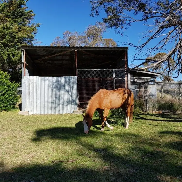 Fifth view of Homely rural property listing, 1742 Slacks Creek Road, Cooma NSW 2630