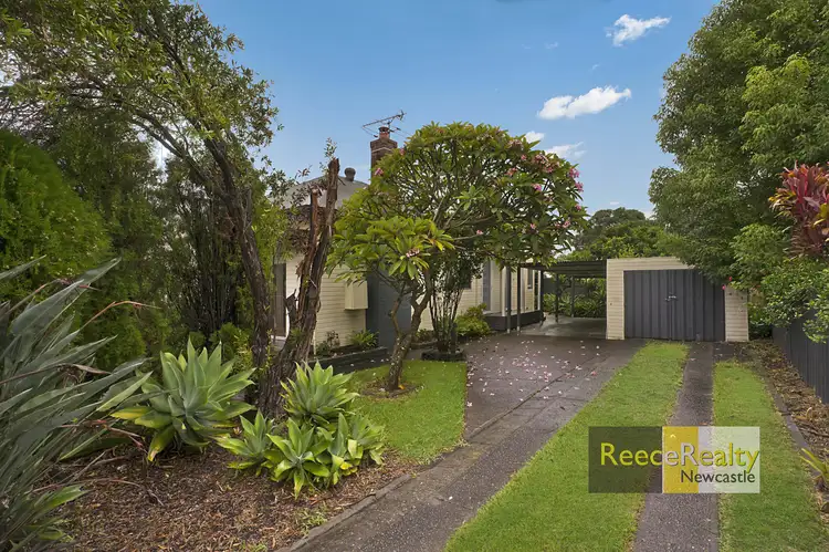 134 Wilkinson Avenue, Birmingham Gardens NSW 2287