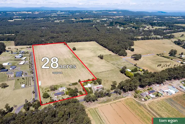 Fourth view of Homely house listing, 1386 Whittlesea Yea Road, Kinglake West VIC 3757