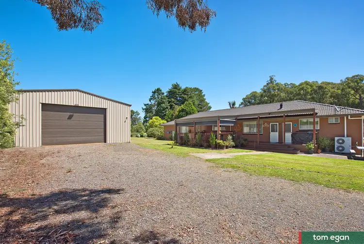 Fifth view of Homely house listing, 1386 Whittlesea Yea Road, Kinglake West VIC 3757