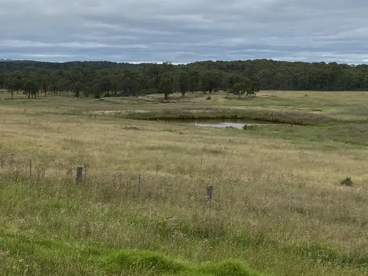 Seventh view of Homely house listing, 1782 Wollara Road, Merriwa NSW 2329