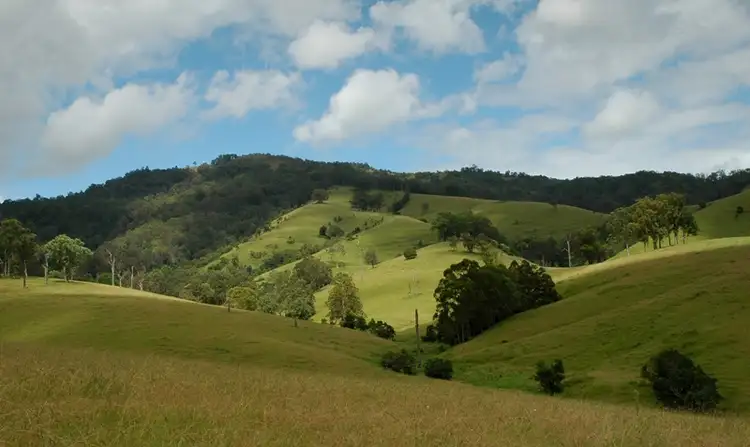 Fifth view of Homely rural property listing, 2209 Allyn River Road, Eccleston Via, Gresford NSW 2311