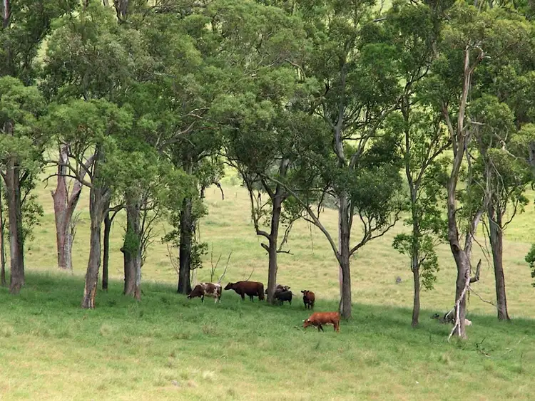 Sixth view of Homely rural property listing, 2209 Allyn River Road, Eccleston Via, Gresford NSW 2311