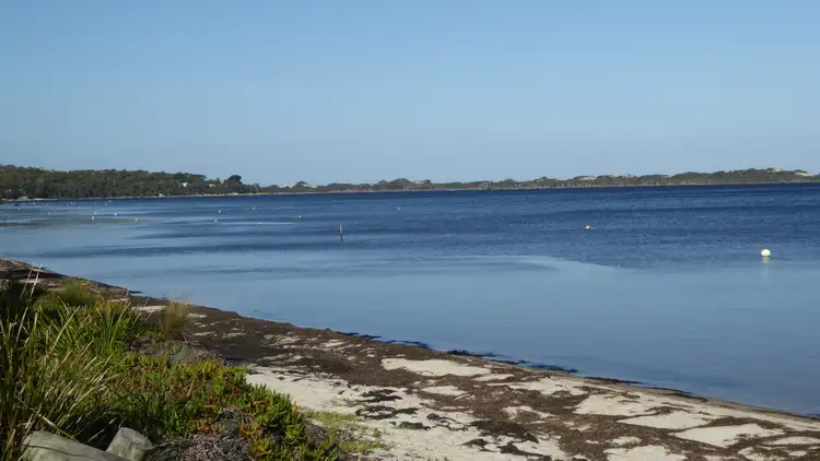 Seventh view of Homely house listing, 12 Acacia Drive, Ansons Bay TAS 7264