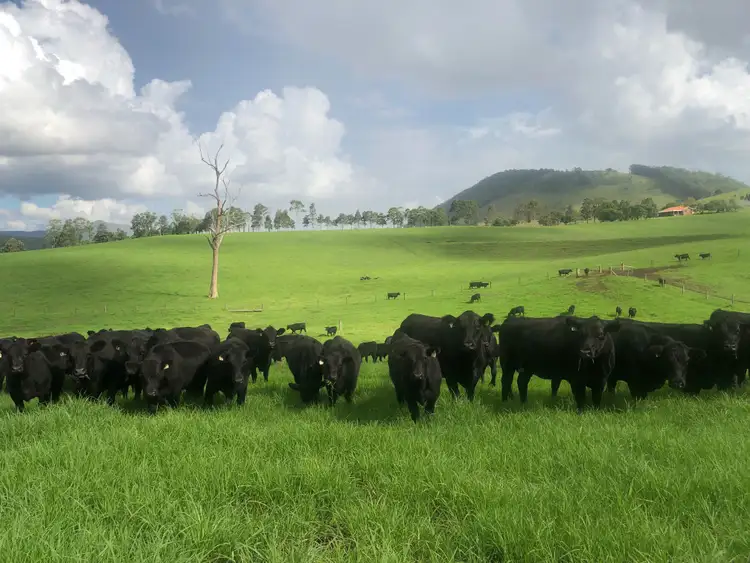 Third view of Homely rural property listing, 1280 Mill Creek Road, Stroud NSW 2425