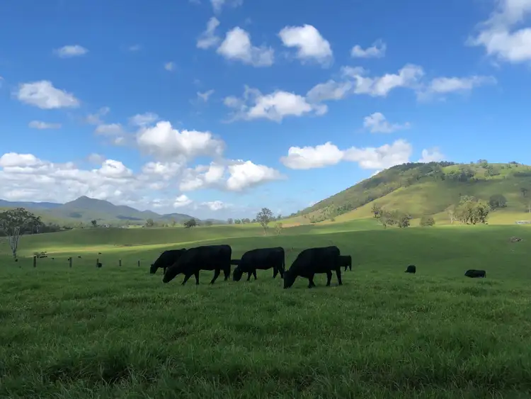 Fourth view of Homely rural property listing, 1280 Mill Creek Road, Stroud NSW 2425