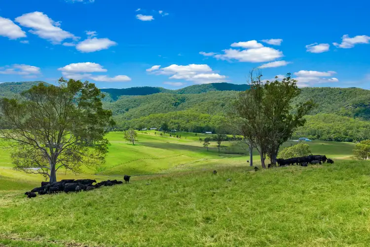 Fourth view of Homely rural property listing, 1233 Mill Creek Road, Stroud NSW 2425