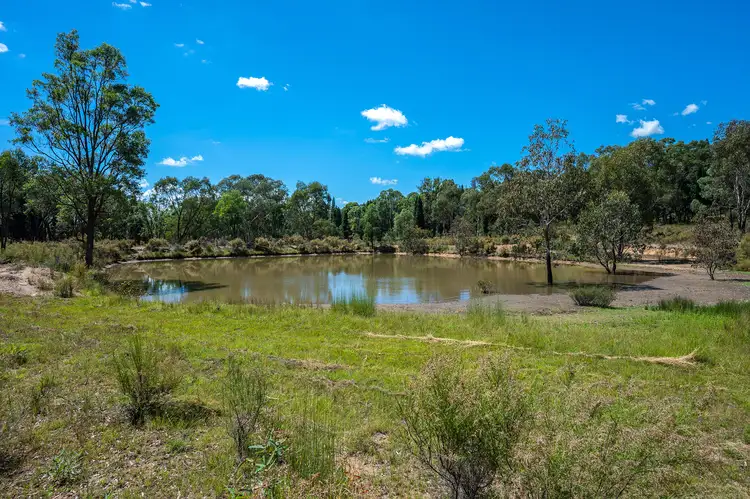 Fourth view of Homely rural property listing, 192 Greenhills Lane, Turill NSW 2850