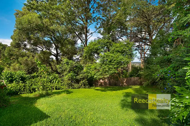 Sixth view of Homely house listing, 53 Moore Street, Birmingham Gardens NSW 2287