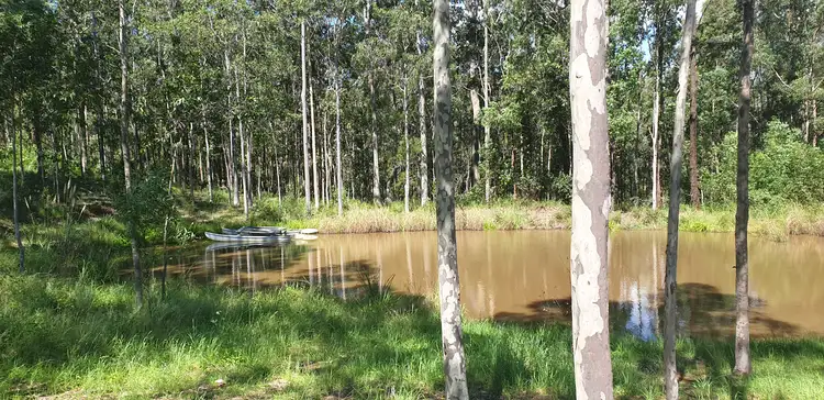 Main view of Homely house listing, 550 Limeburners Creek Road, Clarence Town NSW 2321