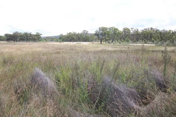 Fifth view of Homely land listing, 162 Jollys Falls Road, The Summit QLD 4377