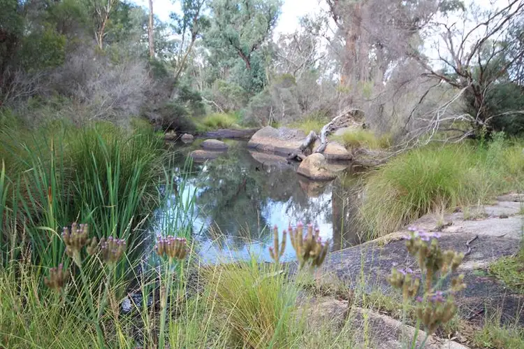 Seventh view of Homely land listing, 162 Jollys Falls Road, The Summit QLD 4377