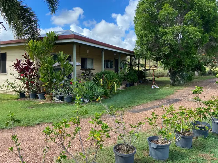 Third view of Homely rural property listing, 73 WATERLOO HALL ROAD, Waterloo QLD 4673