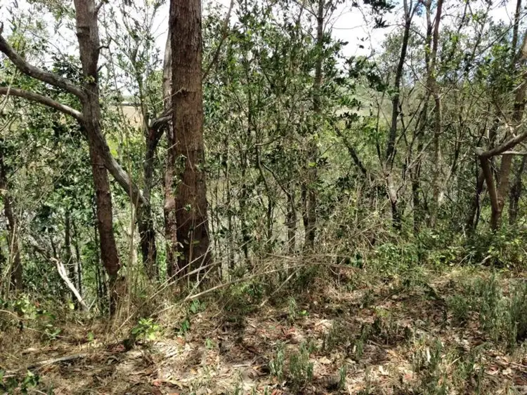Main view of Homely land listing, 24-28 Rankin Street, Howard QLD 4659