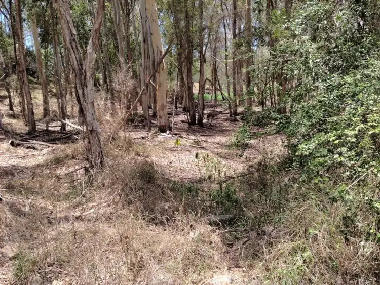 Seventh view of Homely land listing, 24-28 Rankin Street, Howard QLD 4659