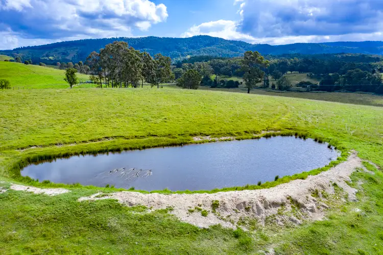 Fifth view of Homely house listing, 24A The Bucketts Way, Wards River NSW 2422