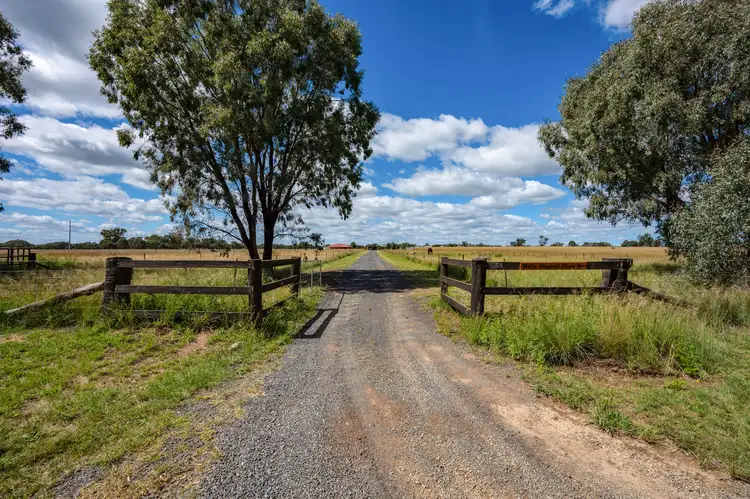 Second view of Homely rural property listing, 58 Holleys Lane, Gulgong NSW 2852