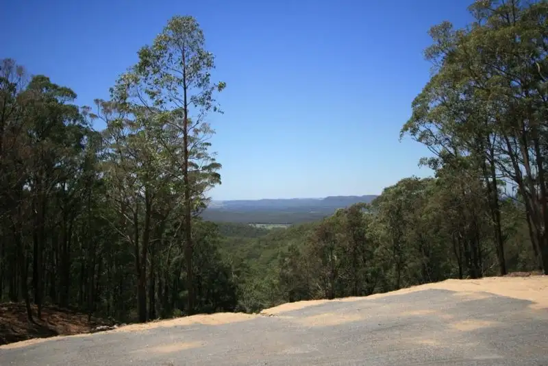 Main view of Homely land listing, 688 Duns Creek Road, Duns Creek NSW 2321