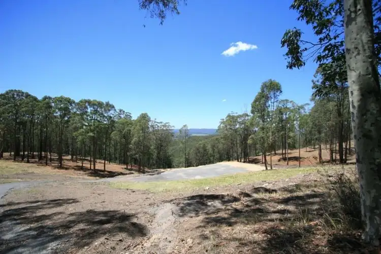 Third view of Homely land listing, 688 Duns Creek Road, Duns Creek NSW 2321