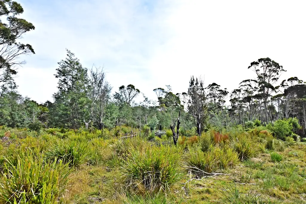 Main view of Homely land listing, Hope Street
PID 6461713, Lefroy TAS 7252