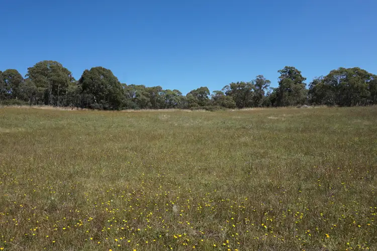 Third view of Homely rural property listing, LOT 4 Wheeo Road, Grabben Gullen, via, Crookwell NSW 2583