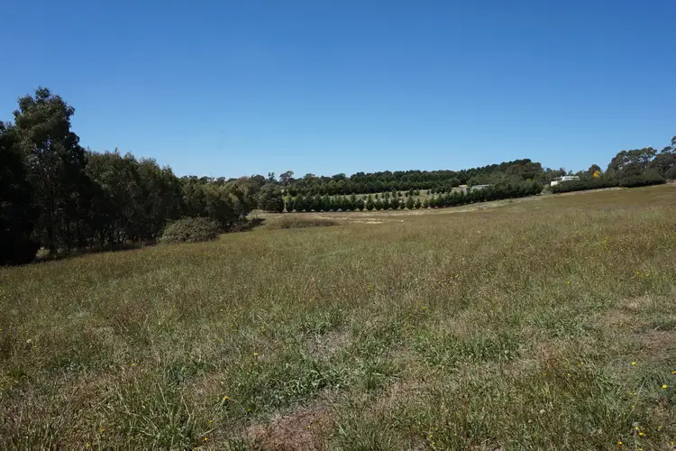 Sixth view of Homely rural property listing, LOT 4 Wheeo Road, Grabben Gullen, via, Crookwell NSW 2583