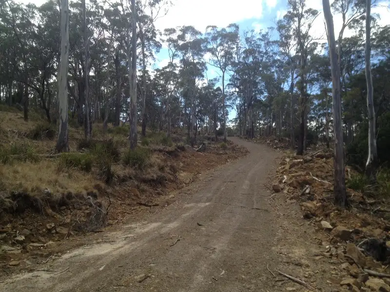 Main view of Homely land listing, 420 Boomer Road, Waverley TAS 7250