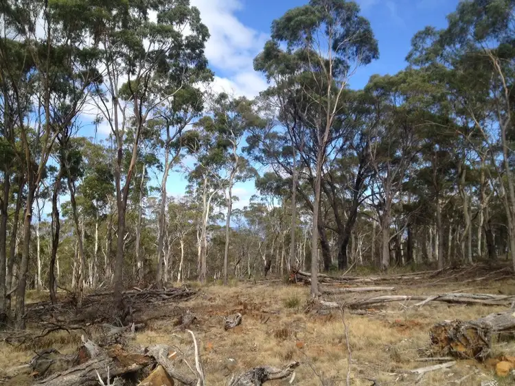 Third view of Homely land listing, 420 Boomer Road, Waverley TAS 7250