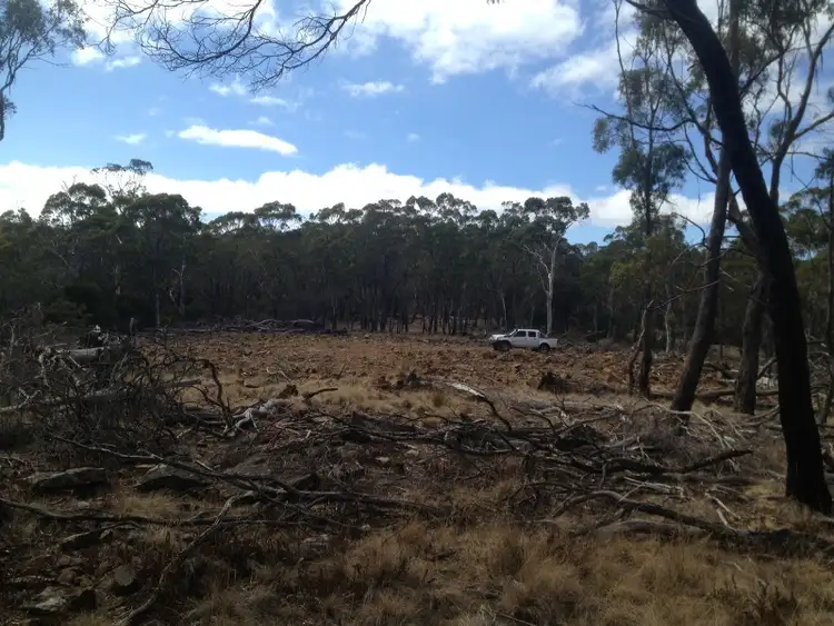 Fifth view of Homely land listing, 420 Boomer Road, Waverley TAS 7250