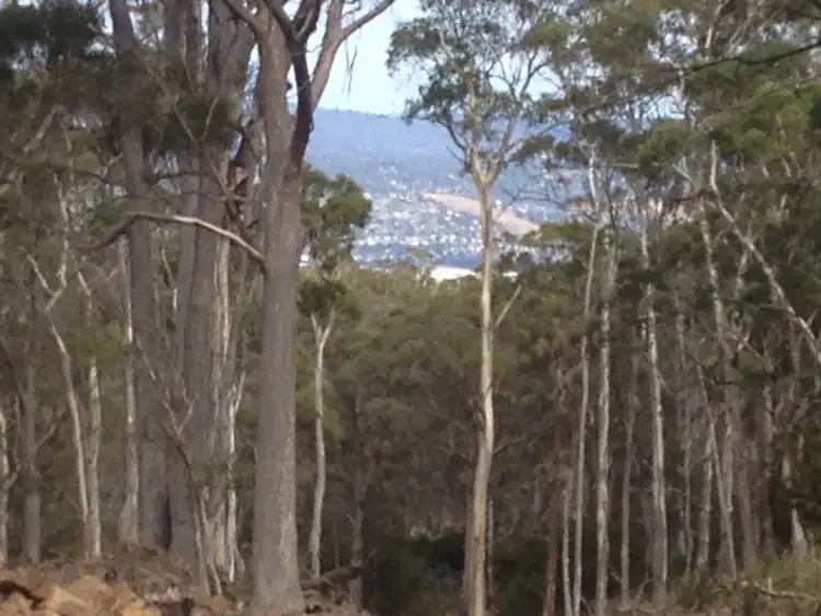 Sixth view of Homely land listing, 420 Boomer Road, Waverley TAS 7250