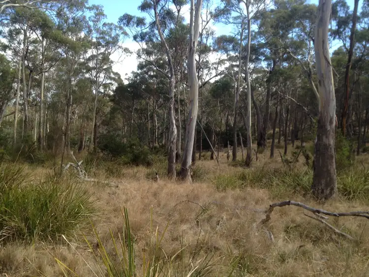 Seventh view of Homely land listing, 420 Boomer Road, Waverley TAS 7250