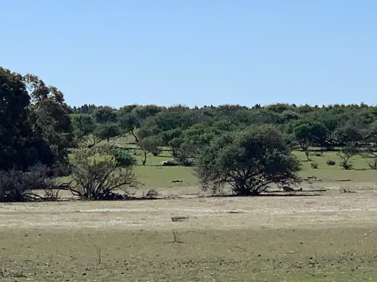 Main view of Homely rural property listing, Lot 4 Maitland Rd, Beverley WA 6304