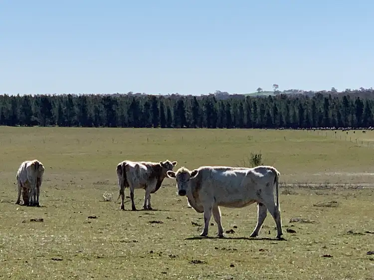 Lot 5 Maitland Rd, Beverley WA 6304