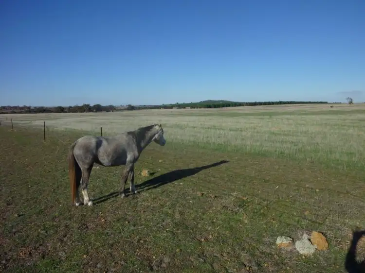 Lot 6 Maitland Rd, Beverley WA 6304