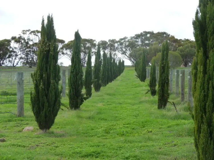 Fourth view of Homely rural property listing, 26 Qualen Rd, York WA 6302