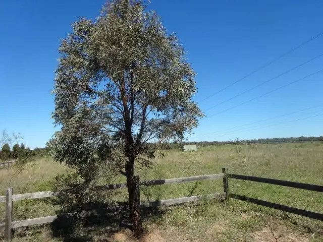 Second view of Homely land listing, LOT 34, 4 Horizon Lane, Pokolbin NSW 2320