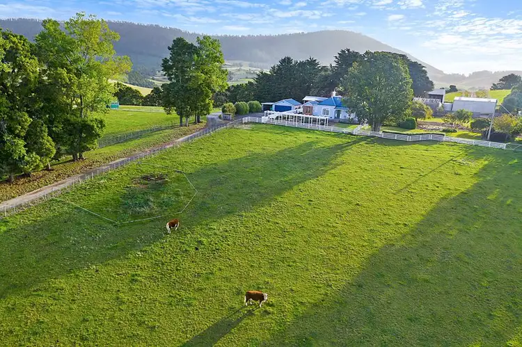 Fourth view of Homely house listing, 308 Sledge Track, Scottsdale TAS 7260