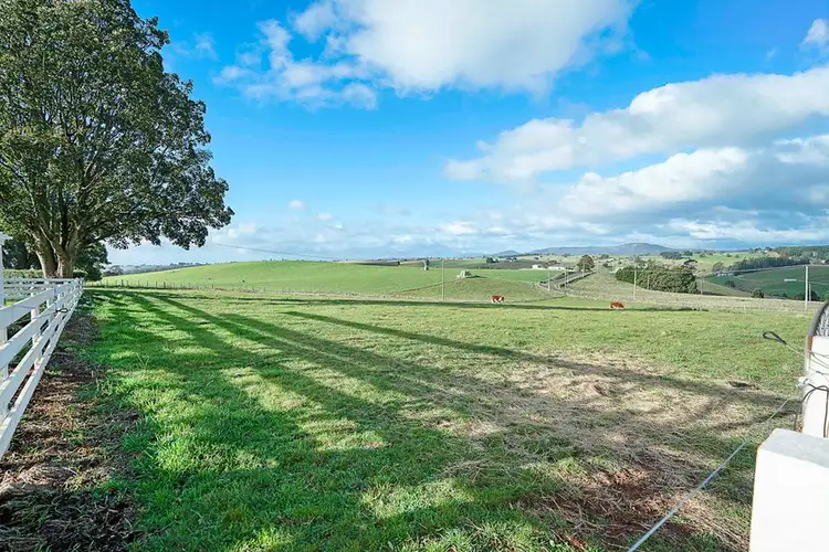 Fifth view of Homely house listing, 308 Sledge Track, Scottsdale TAS 7260