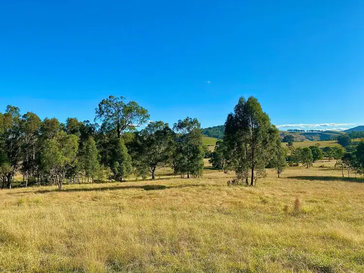 Fourth view of Homely rural property listing, 664 Chichester Dam Road, Bendolba Via, Dungog NSW 2420