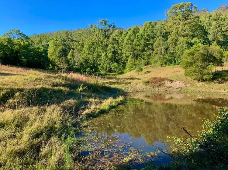 Fifth view of Homely rural property listing, 664 Chichester Dam Road, Bendolba Via, Dungog NSW 2420