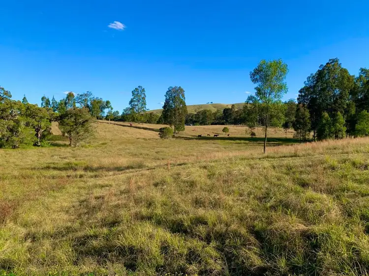 Sixth view of Homely rural property listing, 664 Chichester Dam Road, Bendolba Via, Dungog NSW 2420