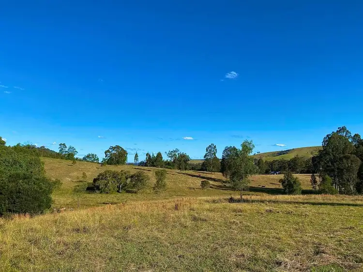 Seventh view of Homely rural property listing, 664 Chichester Dam Road, Bendolba Via, Dungog NSW 2420