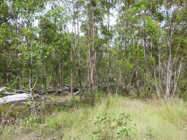 Second view of Homely rural property listing, 750 KNOCKROE ROAD, North Isis QLD 4660