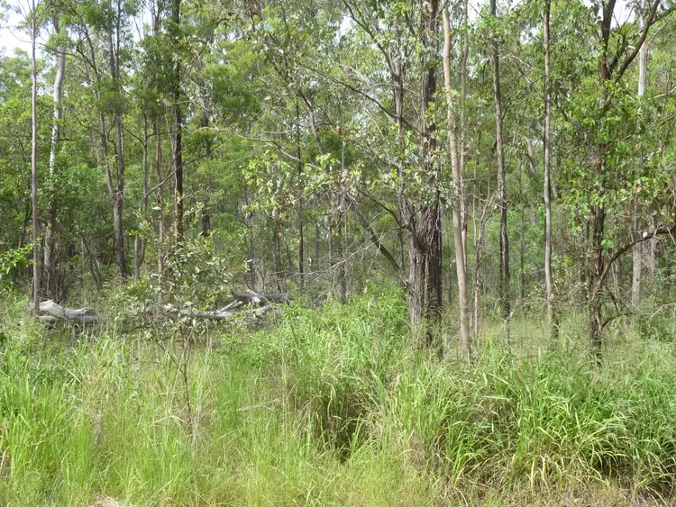 Third view of Homely rural property listing, 750 KNOCKROE ROAD, North Isis QLD 4660