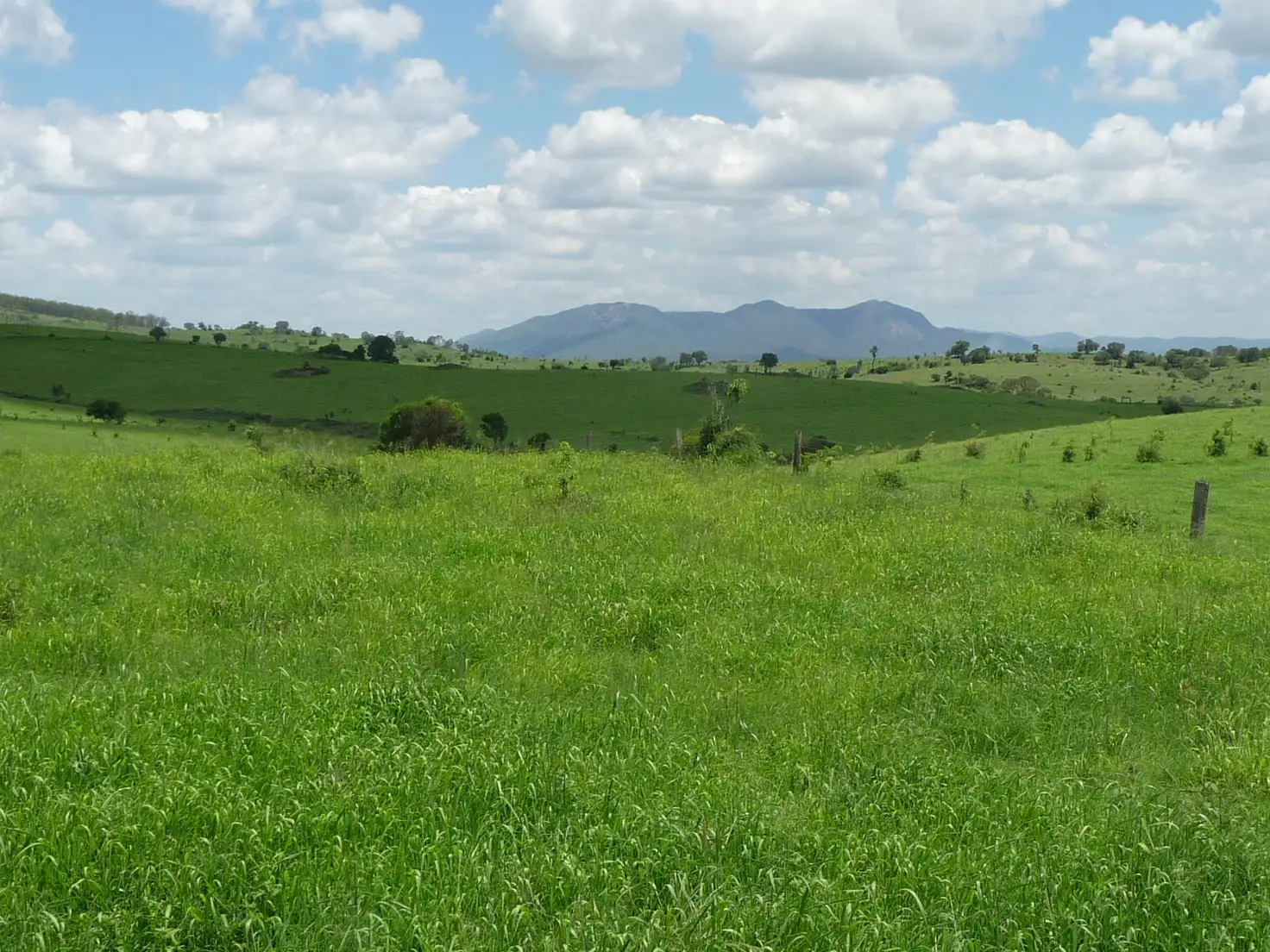 Main view of Homely rural property listing, GRIFFINS ROAD, DEGILBO, Biggenden QLD 4621