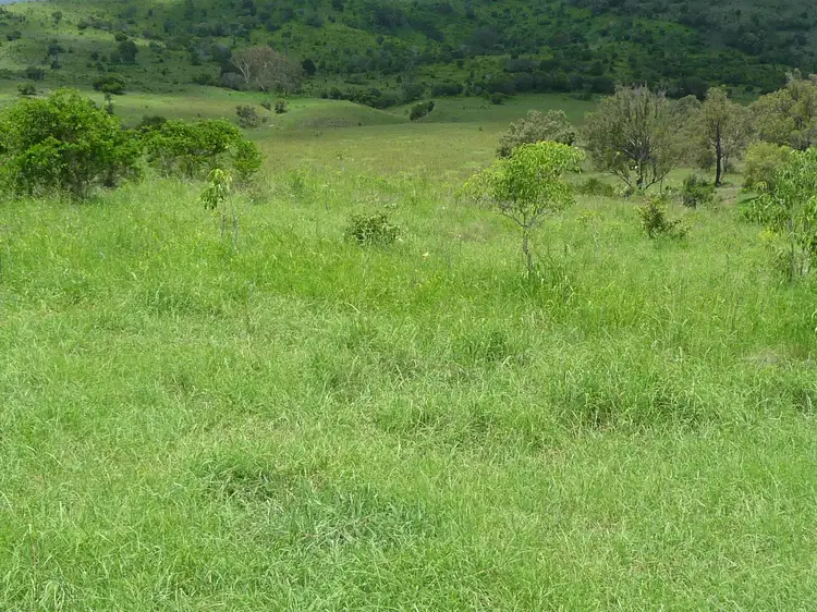 Second view of Homely rural property listing, GRIFFINS ROAD, DEGILBO, Biggenden QLD 4621