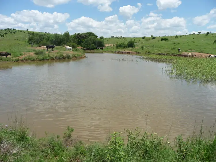 Fourth view of Homely rural property listing, GRIFFINS ROAD, DEGILBO, Biggenden QLD 4621