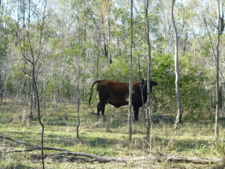 Third view of Homely rural property listing, LOT 1 ISIS HIGHWAY, Dallarnil QLD 4621